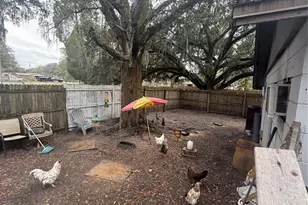 1005 W Washington St, Plant City, FL 33563 - Photo 13