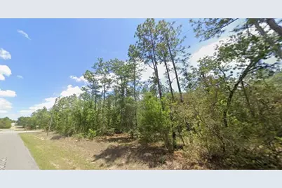 3658 W Galleon Street, Dunnellon, FL 34433 - Photo 3