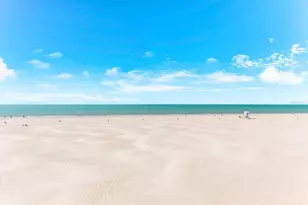 10 Papaya St, Clearwater Beach, FL 33767 - Photo 65