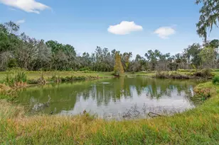 4925 Hamilton Rd, Lakeland, FL 33811 - Photo 5