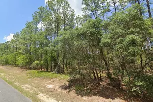 3704 W Lappula Ln, Citrus Springs, FL 34433 - Photo 1