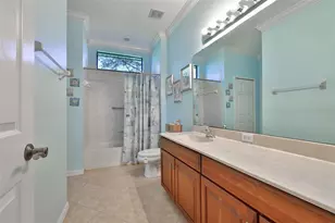 250 Silver Falls Dr, Apollo Beach, FL 33572 - Photo 25