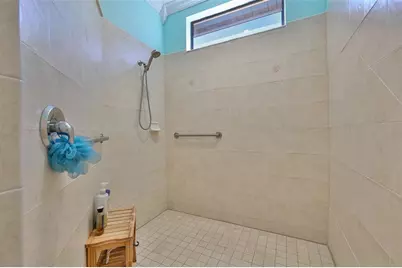 250 Silver Falls Drive, Apollo Beach, FL 33572 - Photo 21