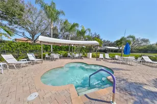 250 Silver Falls Dr, Apollo Beach, FL 33572 - Photo 47