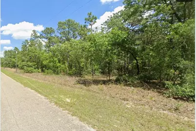 9409 N Fairy Lilly Drive, Citrus Springs, FL 34433 - Photo 3