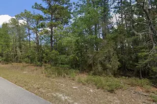 9181 N Satinwood Terrace, Citrus Springs, FL 34433 - Photo 1