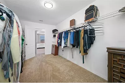 10832 Carloway Hills Drive, Wimauma, FL 33598 - Photo 29