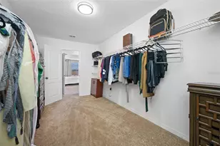 10832 Carloway Hills Dr, Wimauma, FL 33598 - Photo 29