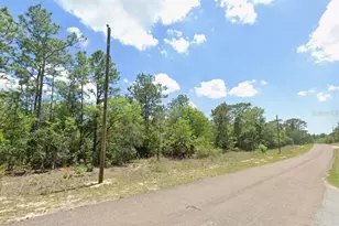 9313 N Hawkweed Dr, Citrus Springs, FL 34433 - Photo 1