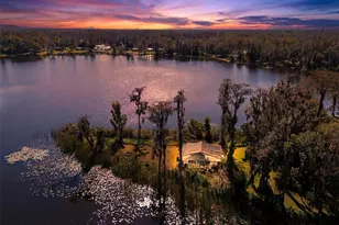 602 Druid Way, Lutz, FL 33548 - Photo 1