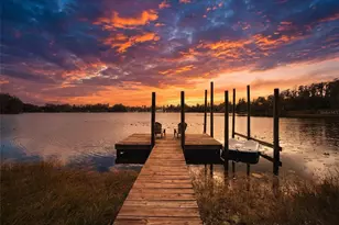 602 Druid Way, Lutz, FL 33548 - Photo 67