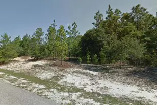 3499 W Webster Pl, Citrus Springs, FL 34433 - Photo 1