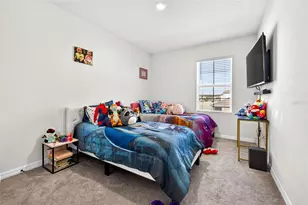 33608 Barberry Leaf Wy, Wesley Chapel, FL 33543 - Photo 39