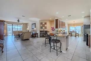 6728 Wild Elm Ct, Wesley Chapel, FL 33545 - Photo 9