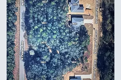 9819 N Pewter Avenue, Dunnellon, FL 34434 - Photo 3