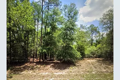 9819 N Pewter Avenue, Dunnellon, FL 34434 - Photo 1