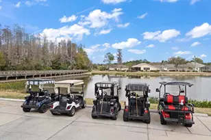 1237 Rambling Vine Ct, Trinity, FL 34655 - Photo 59