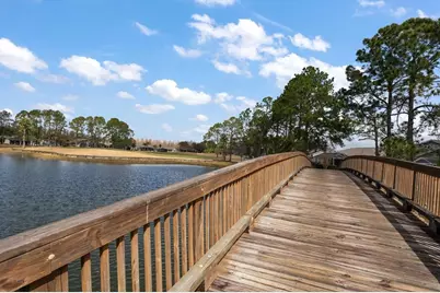 1237 Rambling Vine Court, Trinity, FL 34655 - Photo 65