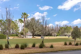 1237 Rambling Vine Ct, Trinity, FL 34655 - Photo 45