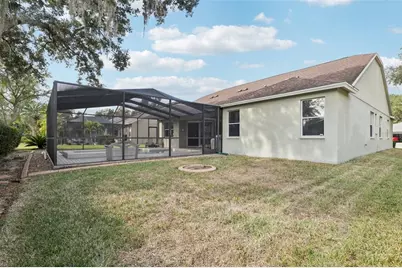 12606 River Birch Drive, Riverview, FL 33569 - Photo 51