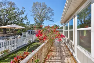 20600 Gardenia Dr, Land O Lakes, FL 34638 - Photo 39