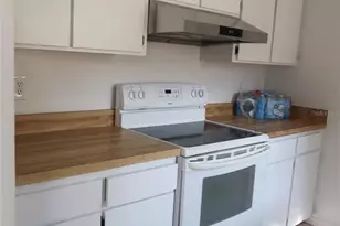 10410 N Connechusett Rd, Tampa, FL 33617 - Photo 5