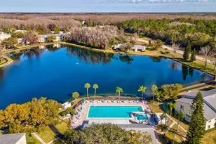 3114 Lake Pine Way, Tarpon Springs, FL 34688 - Photo 39