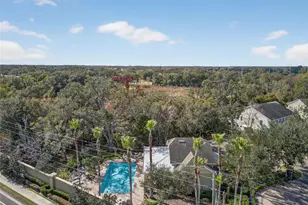 17019 Vilesta Dr, Lutz, FL 33548 - Photo 51