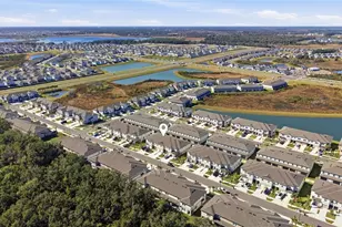 10149 Trumpet Honeysuckle Wy, San Antonio, FL 33576 - Photo 29