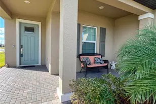 12605 Tahitian Pearl Cir, Parrish, FL 34219 - Photo 47