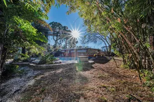 406 Orchid Ln, Palm Harbor, FL 34683 - Photo 27