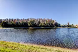 3333 Brenford Pl, Land O Lakes, FL 34638 - Photo 57