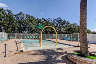 3333 Brenford Pl, Land O Lakes, FL 34638 - Photo 63