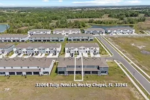 33064 Tulip Petal Ln, Wesley Chapel, FL 33545 - Photo 37