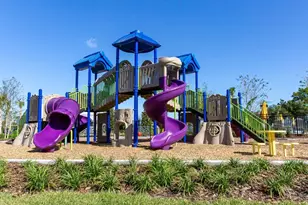 33064 Tulip Petal Ln, Wesley Chapel, FL 33545 - Photo 29