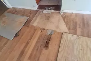 5241 67th St N, Saint Petersburg, FL 33709 - Photo 25