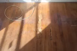 5241 67th St N, Saint Petersburg, FL 33709 - Photo 5