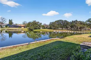 105 N Capri Ct N, Plant City, FL 33566 - Photo 41