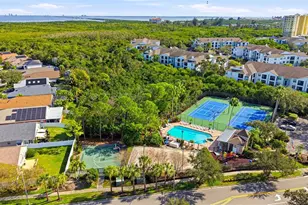 541 Black Lion Dr NE, Saint Petersburg, FL 33716 - Photo 43