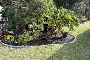 29129 Johnston Rd, Dade City, FL 33523 - Photo 21