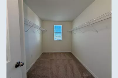 12072 Downy Birch Drive, Riverview, FL 33569 - Photo 17