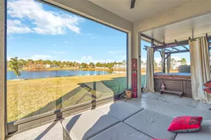 16638 Mooner Plank Cir, Wimauma, FL 33598 - Photo 49