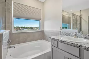 16638 Mooner Plank Cir, Wimauma, FL 33598 - Photo 41