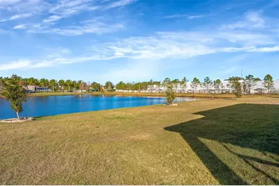 16638 Mooner Plank Circle, Wimauma, FL 33598 - Photo 31