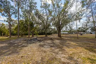 9331 Edison Rd, Lithia, FL 33547 - Photo 27