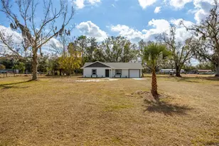 9331 Edison Rd, Lithia, FL 33547 - Photo 25