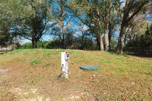 8019 N Meadowview Cir, Tampa, FL 33625 - Photo 31