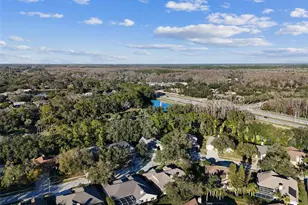 4320 Auston Way, Palm Harbor, FL 34685 - Photo 89