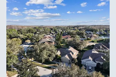 4320 Auston Way, Palm Harbor, FL 34685 - Photo 85