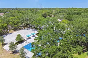 4320 Auston Way, Palm Harbor, FL 34685 - Photo 95